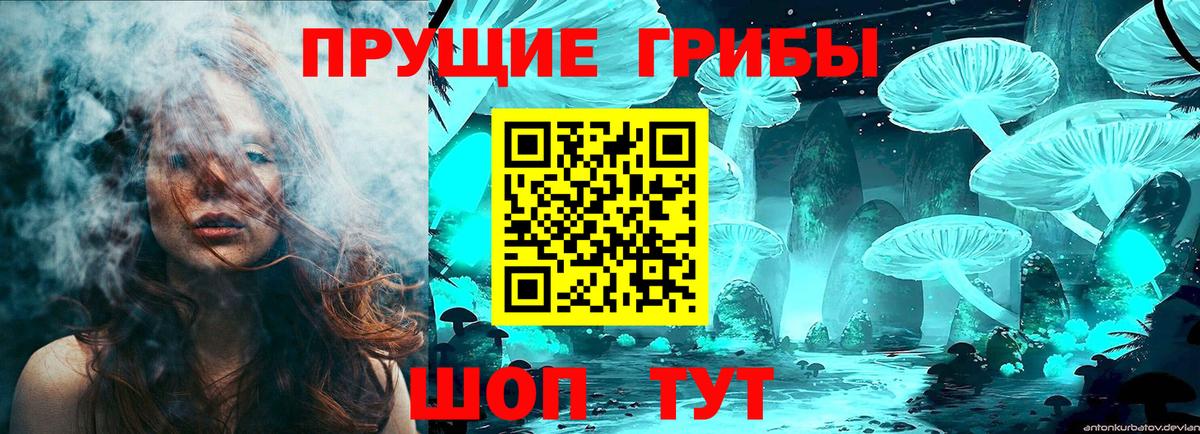 Псилоцибиновые грибы Psilocybine cubensis Долгопрудный